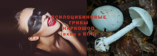 крисы Армянск