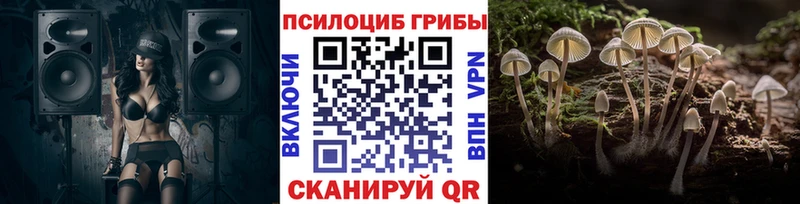 Псилоцибиновые грибы прущие грибы  Салехард 